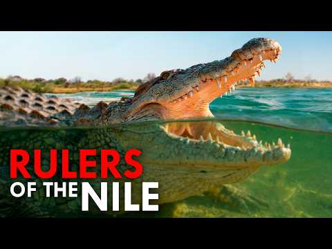 The Most Dangerous River In The World