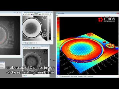 Imina Technologies: Dynamic Characterization of a MEMS Resonator