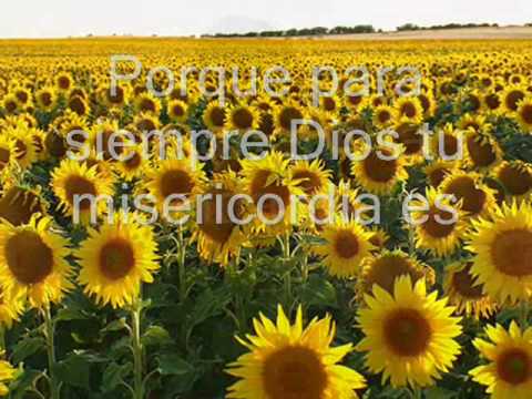 Porque Para Siempre video