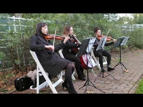 Can't Take My Eyes Off You