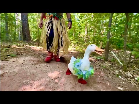 I took my duck to the Jungle