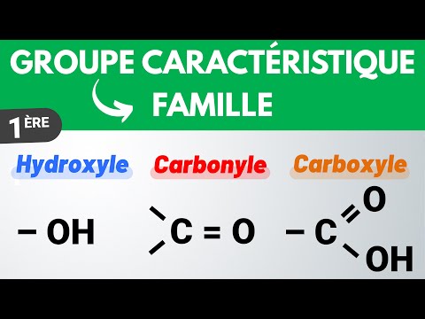 Characteristic groups and functional families | 1st | Physics-Chemistry