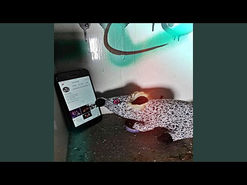 Cała prawda o Sentino 2