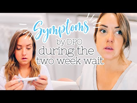 Pregnancy Symptoms PER Day (DPO) Leading up to TESTING DAY! || The Two Week Wait TWW