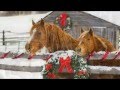 White Christmas - Michael Allen Harrison
