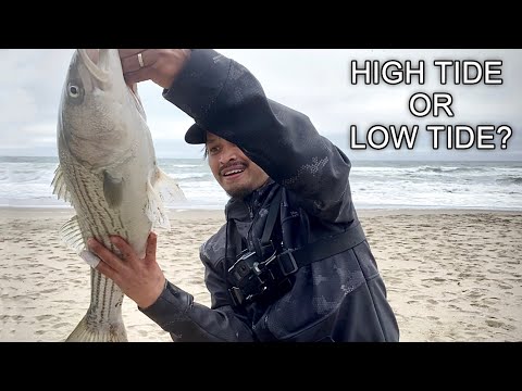 Is Surf Fishing BETTER at High Tide or Low Tide? | ***two videos merged in one