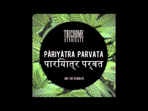 Trichome Syndicate - Pāriyātra Parvata (Original Mix)