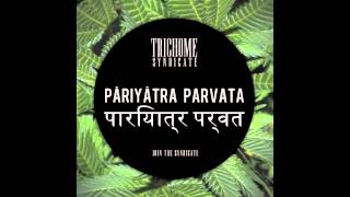Trichome Syndicate - Pāriyātra Parvata (Original Mix)