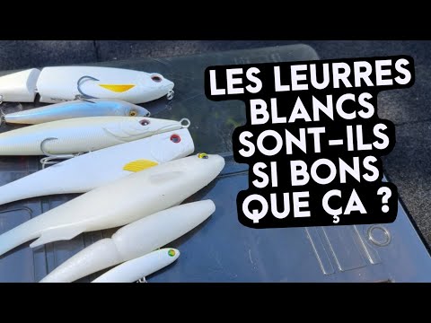 Les leurres blancs sont-ils si bons que ça ??? Le TOP 3 des invités pour la pêche du bar // FC 39