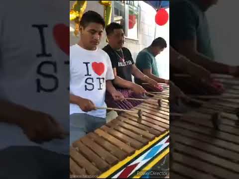 Marimba de todos santos en ockland ca..2021 buenos sones