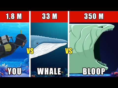 Bloop Monster Analysis - Compared to Blue Whale and You
