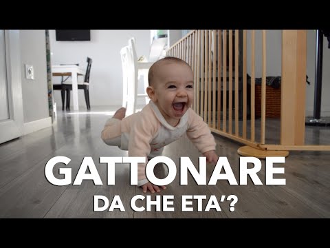 38 Settimana mal di basso addome e parte bassa della schiena ogni minuto Alleviare il dolore alla schiena con urgenza