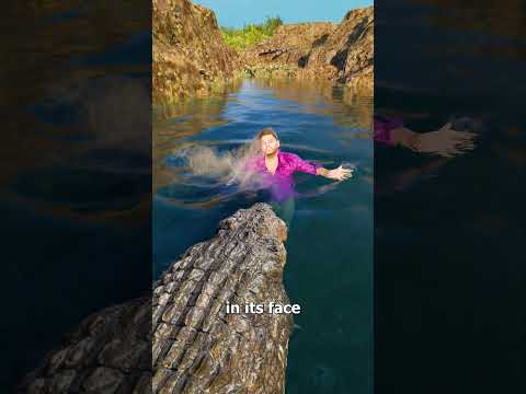 How To Survive An Alligator Pond 😬