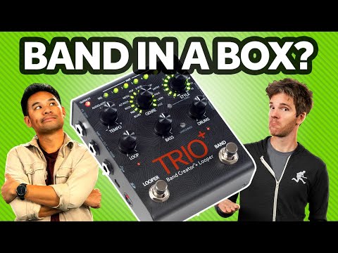 DigiTech Trio+ Band Creator Plus Looper Guitar Effects Pedal with 2 Free Patch Cables image 13