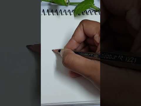 Flower Sketch by Salsabil Samiha