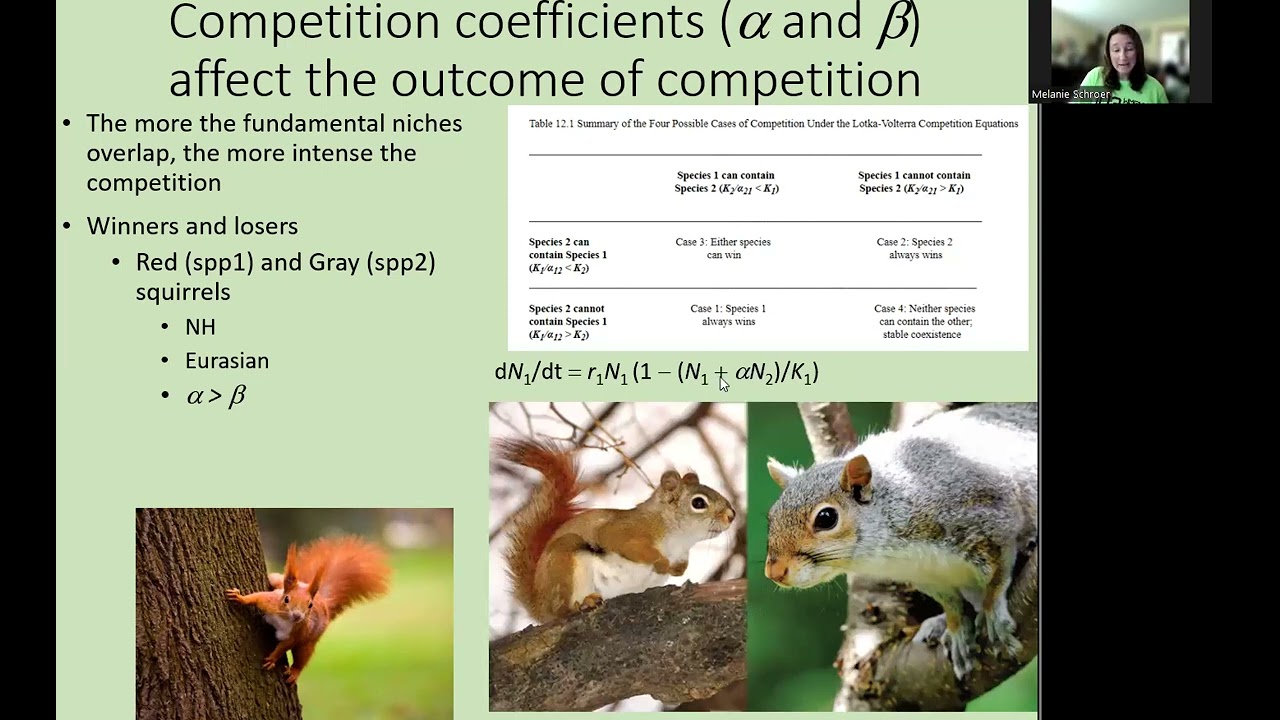 Community Structure, Part 1 [Interspecific Competition]