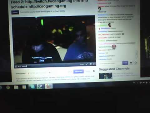 My cat wanted Yipes to win