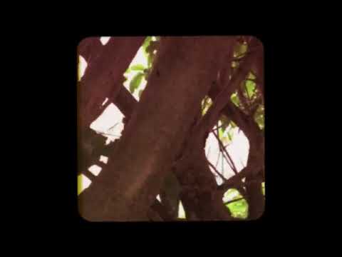 Young Sciroppino🥤 - Miley Syrup 💏💕 (dissing size)