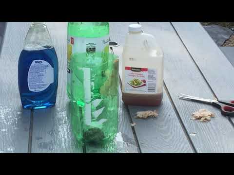 Making a Yellow Jacket trap for your bee yard