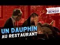 Diner avec un dauphin au restaurant (La Vraie Vie de Bengui)