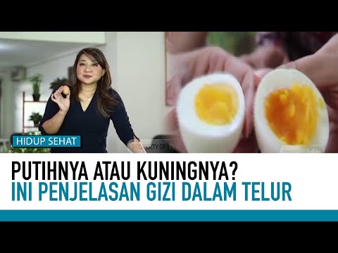 , title : 'Fakta Kuning Telur yang Wajib Kamu Ketahui Sebelum Dikonsumsi | Hidup Sehat tvOne'