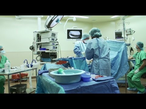 UF Health Jacksonville, Division of Nephrology