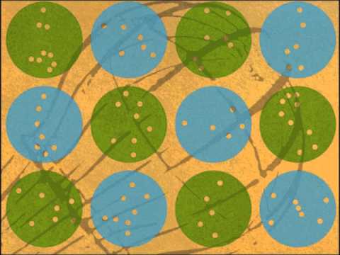 Luís de Freitas Branco - "Artificial Paradises" disco "Orchestral Works 2" (2009)