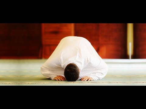 Nëse harron të bësh dhikrin e rukusë dhe sexhdes, si vepron? - Dr. Imam Ahmed Kalaja