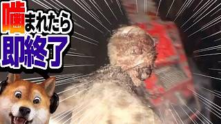 噛まれたら即終了 バイオハザードRE:4 / part421