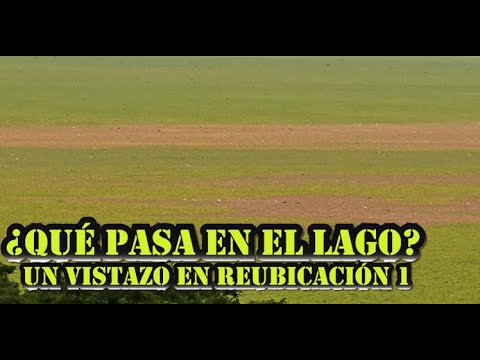 QUÉ ESTÁ PASANDO en el LAGO SUCHITLÁN, por LAS REUBICACIONES, CHALATENANGO, EL SALVADOR 10 25
