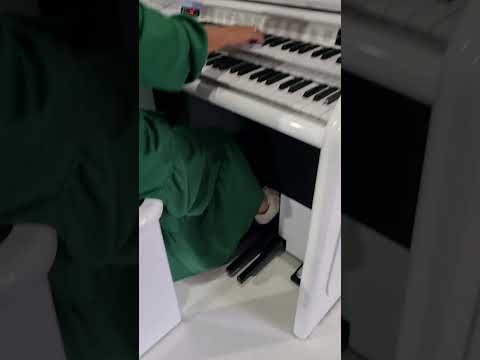 Órgão Eletrônico Digital Acordes AC500 Elegance Branco - Loja da Organista