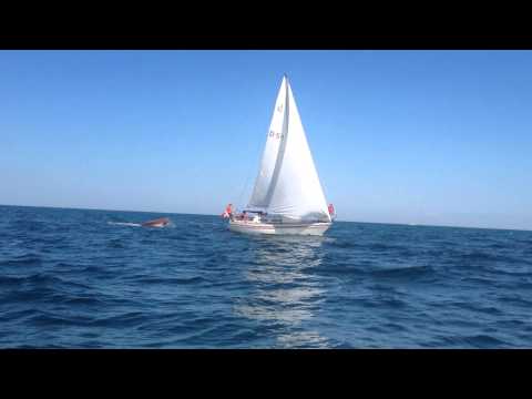 Drabant 27 "Silva" - Film 1