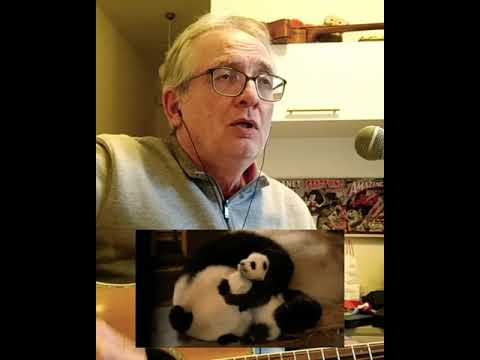 Lynyrd Skynyrd Simple Man short cover