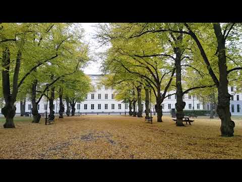 Autumn: English park, Uppsala University