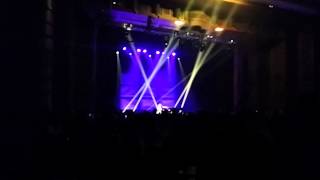Tori Amos 'Wedding Day' Miami Beach 2014