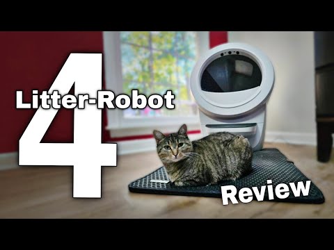 Litter-Robot 4 Review: The BEST Self-Cleaning Cat Litter Box?