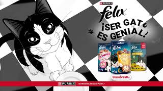 Purina Felix Snacks, irresistibles! Descúbrelos! anuncio