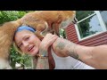 A Tour Of SAVEAFOX