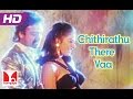 சித்திரத்து தீரே வா Chithirathu There Vaa Ilaiyaraja Hits Nadodi P