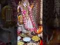 Jay Ho Miyya Ki Song Shorts Trending Indian Lord Matarani Maa Bhajn Miyya