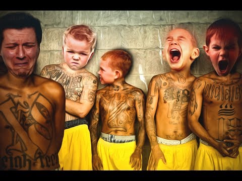 Attack of the Mini Gangstas - Feedback HATE