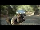 Funny video commercials - Funny TYRE COMMERCIAL 2