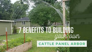 Cattle Panel Arbor Benefits | 7 Reasons to Build One