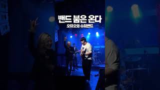 홍대 라이브 클럽 밴드 공연 현황 (🐶신남주의)