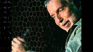 Bernard Lavilliers « Petit »