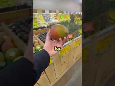 Living on $5 in Mobile, Alabama