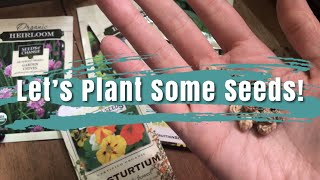 Starting Spring Seeds for My Urban Garden