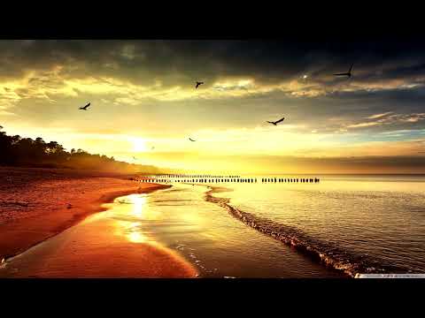 Liquid Drum and Bass Mix 2022 #15