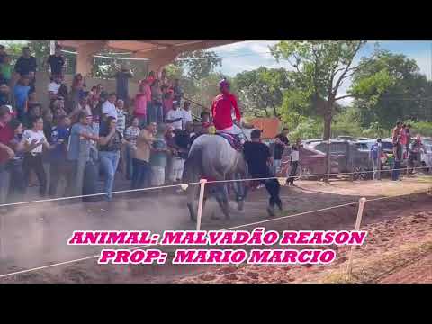 JOCKEY CLUB NOSSA SENHORA DE LIVRAMENTO MT FINAL DO 6ºGP CRIADORES DE MATO GROSSO NIRVANA REASON 