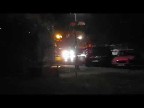 Luszu x Czapi x Poseł - Smok